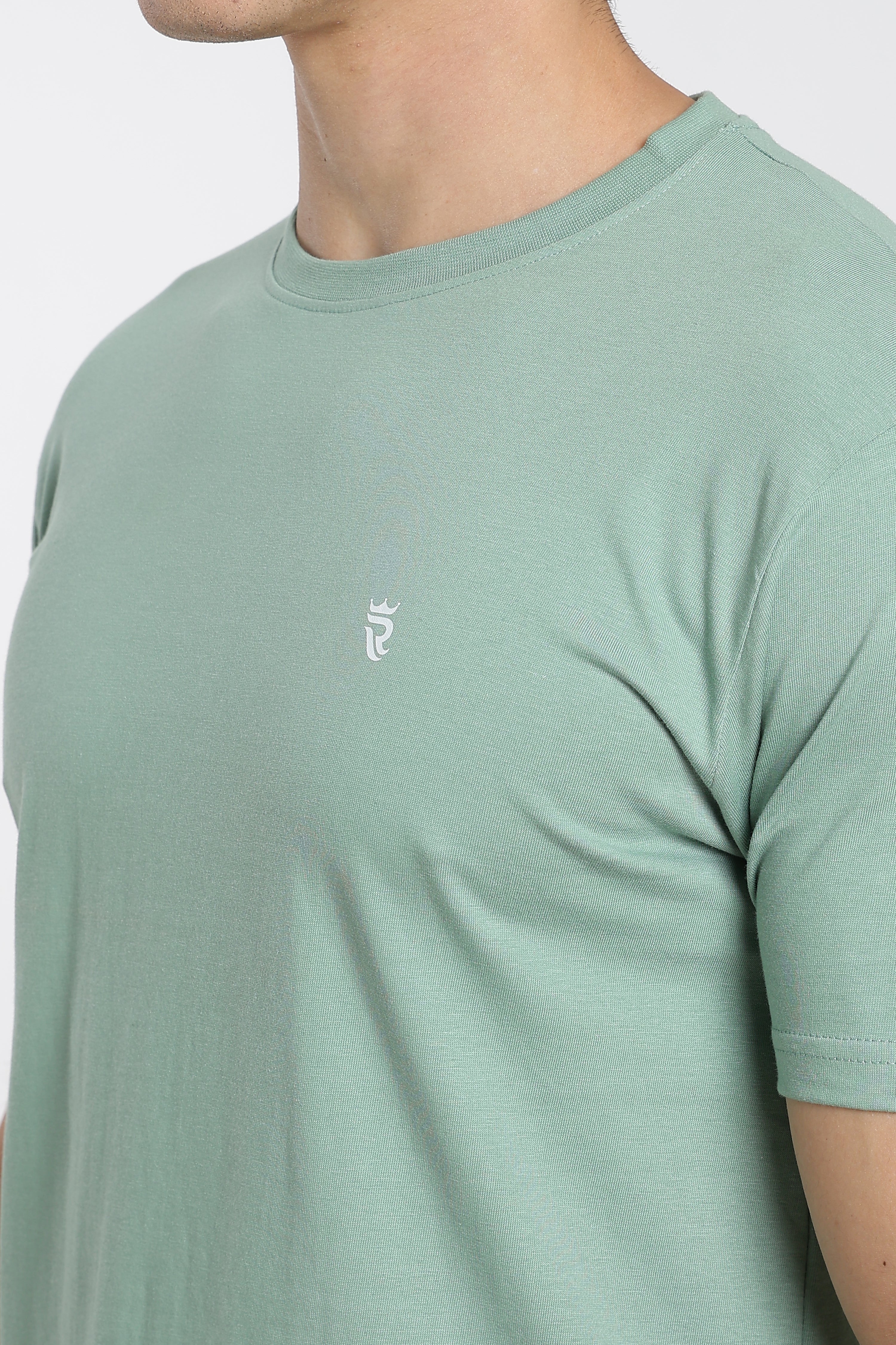 Sage Green Premium Regular Fit Crew Neck T-Shirt