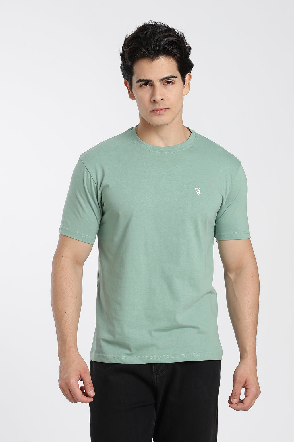 Sage Green Premium Regular Fit Crew Neck T-Shirt