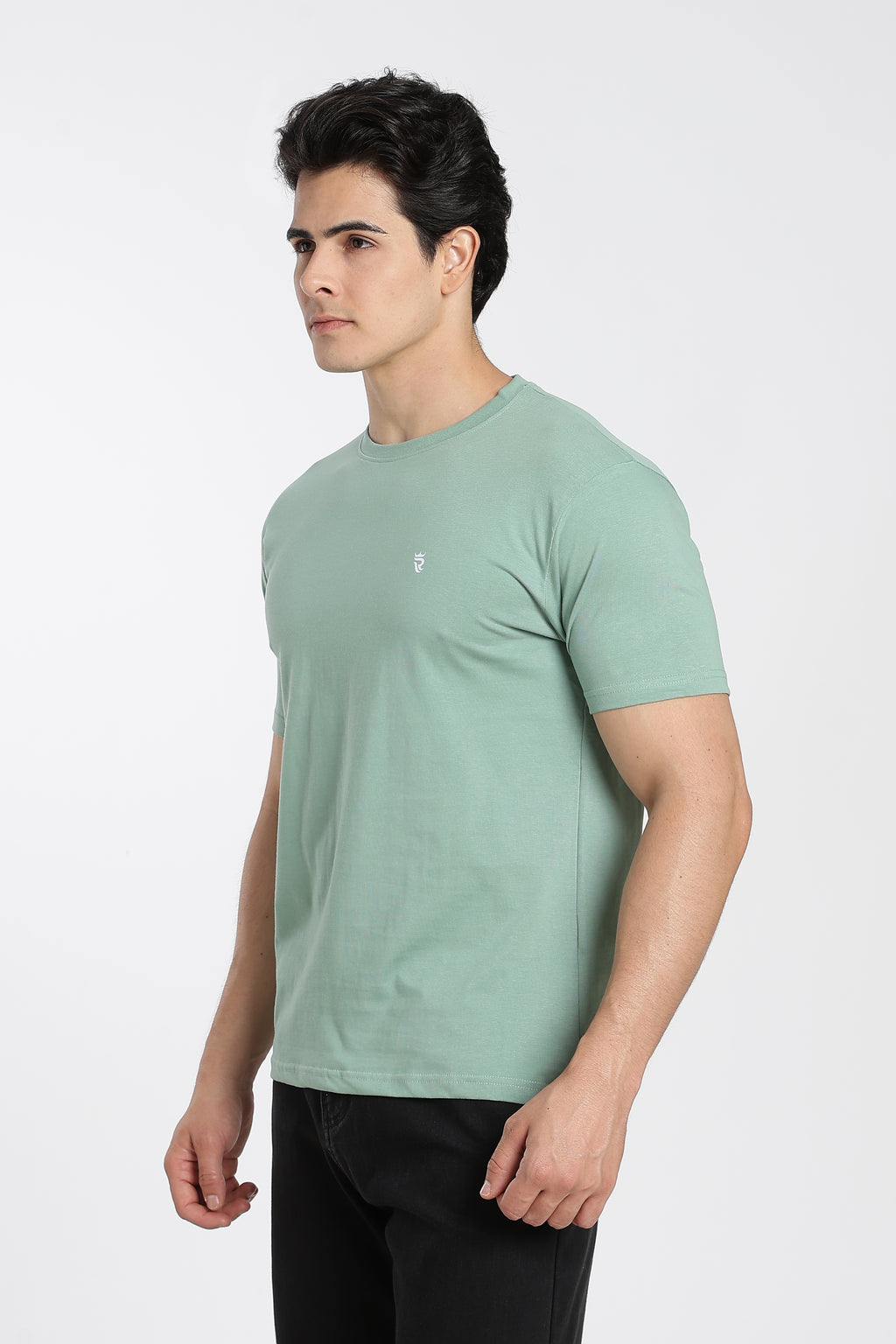 Sage Green Premium Regular Fit Crew Neck T-Shirt