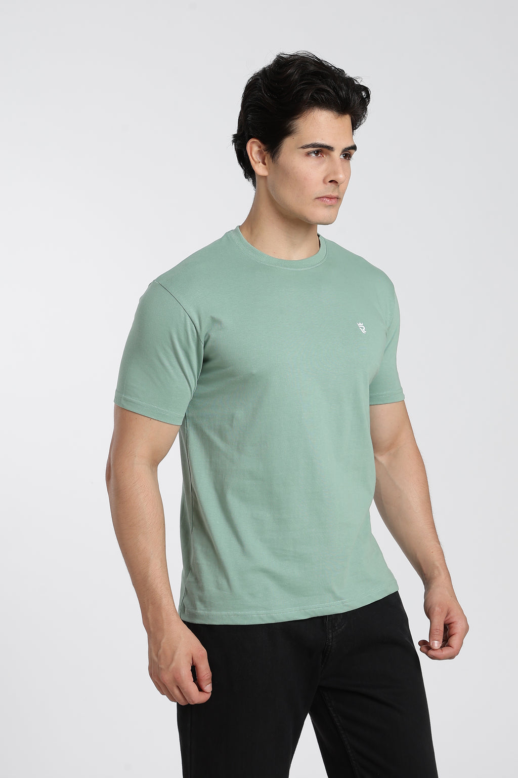 Sage Green Premium Regular Fit Crew Neck T-Shirt